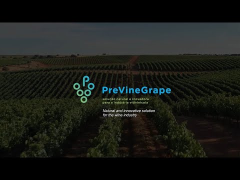 PreVineGrape - Solução natural e inovadora para a indústria vitivinícola