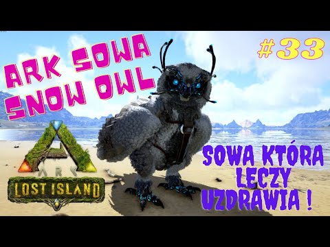 ark szybkie leczenie  snow owl  sowa śnieżna ark