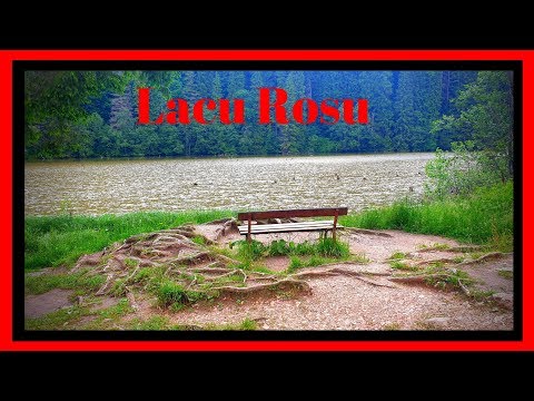 Lacul Rosu - Cel Mai Mare Lac Natural Montan Din Romania  -  Obiectiv Turistic Romania Harghita