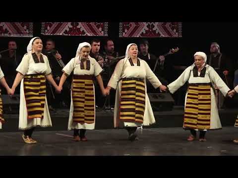 ANSAMBL "Nikola Jonkov Vapcarov" - Kopacija (Vozrasna grupa)