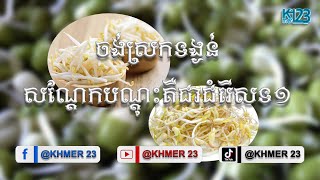 ចង់ស្រកទង្ងន់ សណ្ដែកបណ្ដុះគឺជាជំរេីសទ១