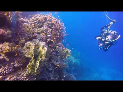 Scuba diving Marsa Shagra November 2016