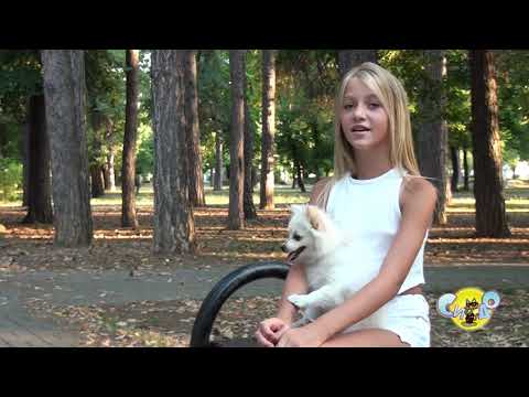 Запознавање со Бисера Димитровска СИ-ДО 2021