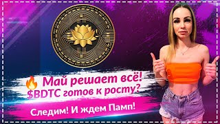 $BDTC на старте буллрана? Что готовит май! 🚀