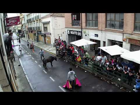 Toro fin de Corpus en Vitigudino