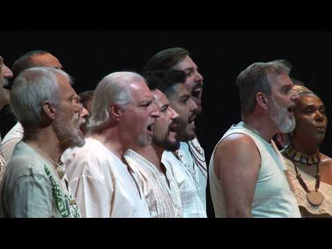 Um girassol da cor do seu cabelo - Coro da Vila