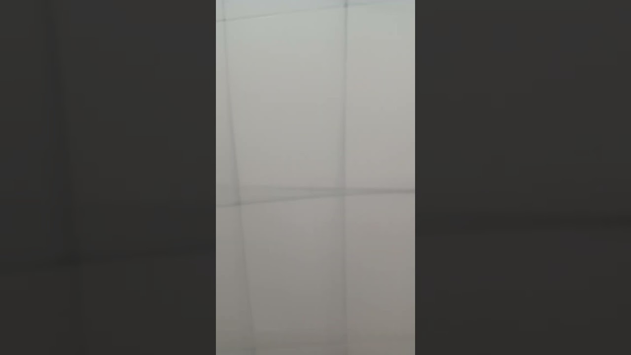 31 de janeiro de 2026