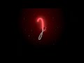 Senorita Song Whatsapp Status