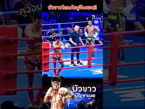 ยืนงง? ในดงเจ๊ก😅🔥 #บัวขาวบัญชาเมฆ #มวยไทย #กังฟู #มวยมันส์