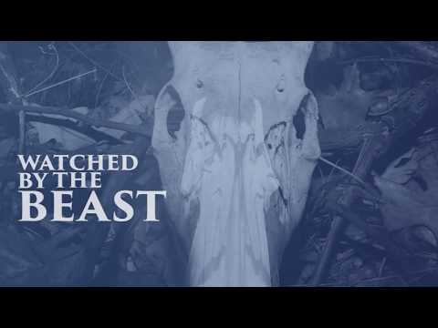 Ant Appleby - Freelance Video Editor video.