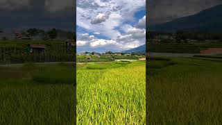 Download lagu LAGU MINANG VIRAL ‼️ FAUZANA - SAHATI DALAM CINTO #laguminangterbaru #laguminang #minang mp3