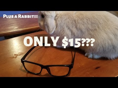 $15 ALTERNATIVE GUNNAR GLASSES??? My first impression. (Plus a RABBIT!!!) Video