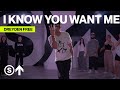 I Know You Want Me Calle Echo Pitbull Dreyden Free Choreography