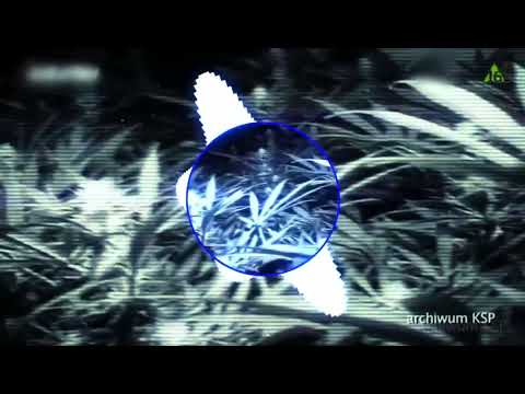 Błękit Policyjnych Lamp (feat. INSP) - Policja was Je*ie BASS BOOSTED