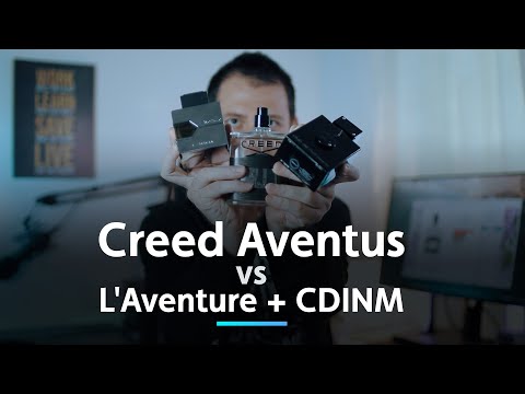 Best alternative to Creed Aventus - L'Aventure or Club de nuit de intense?