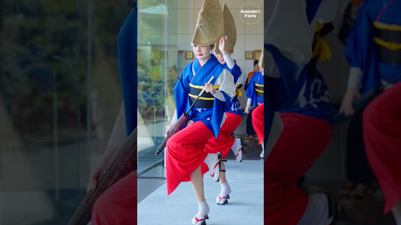 【阿波踊り2026】和傘を持ちながら踊る、最強フォルムの女踊り