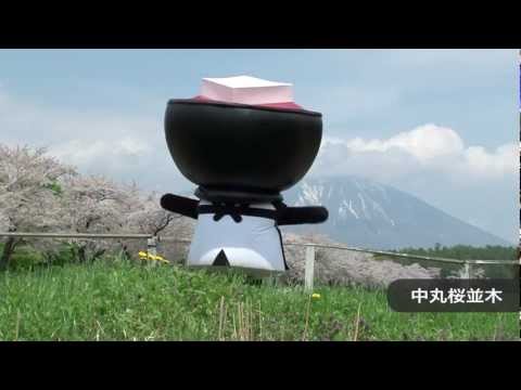 とふっちと行く「いわての桜」〜小岩井農場〜