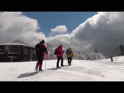 Predeal - Cabana Garbova - Clabucetul Taurului - Azuga