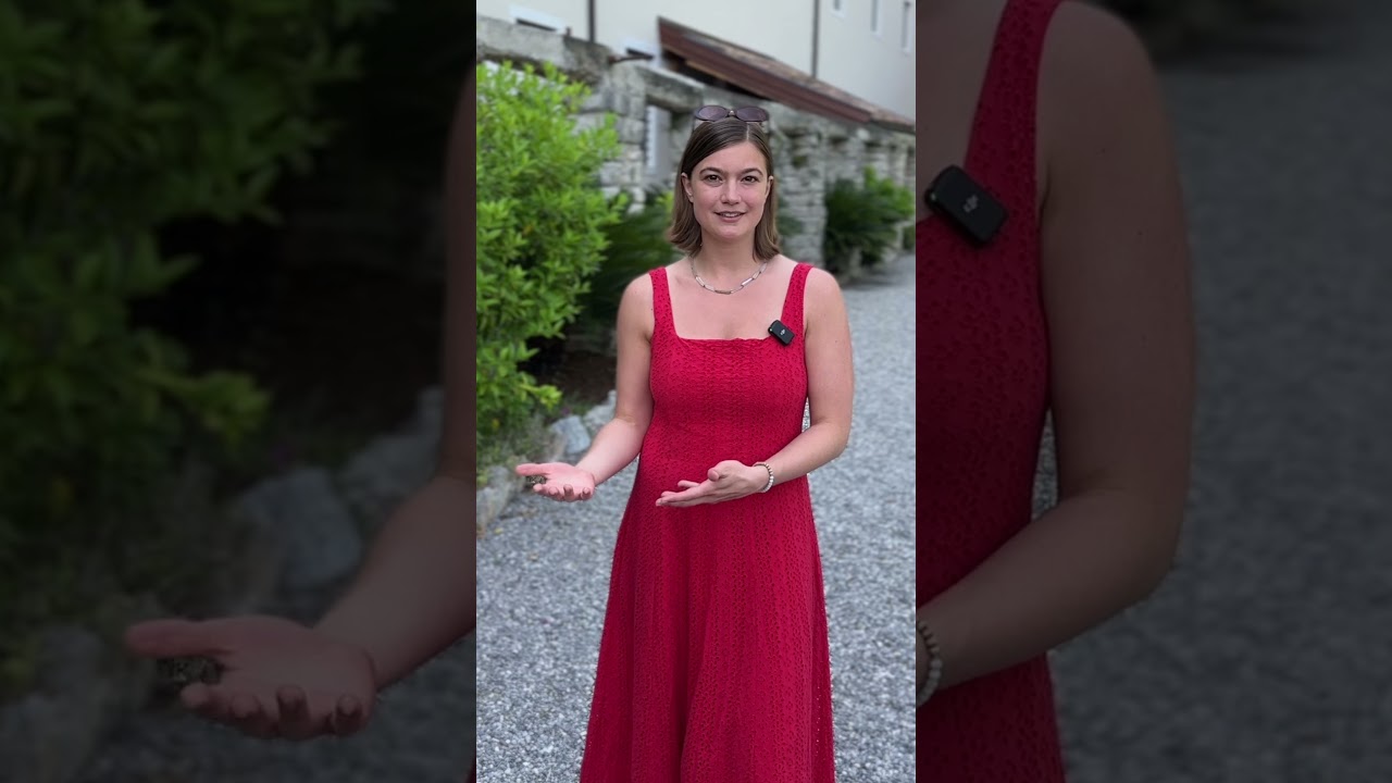 Video Thumbnail 3