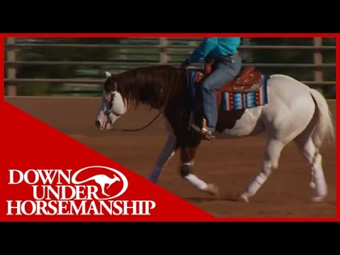 Clinton Anderson Presents: Titan a Legend in the Making, Lesson 11, Part 1 - Downunder Horsemanship