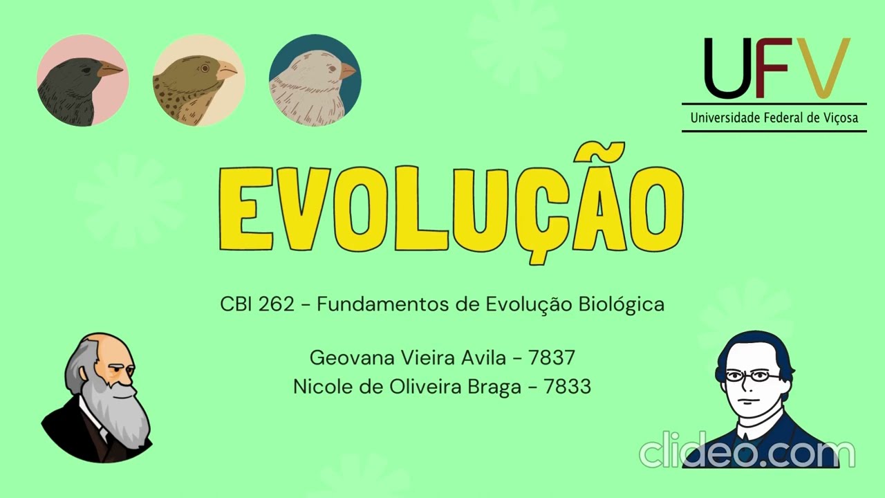 O que é Evolução?