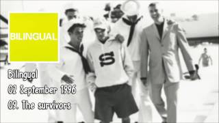 Pet Shop Boys - The survivors