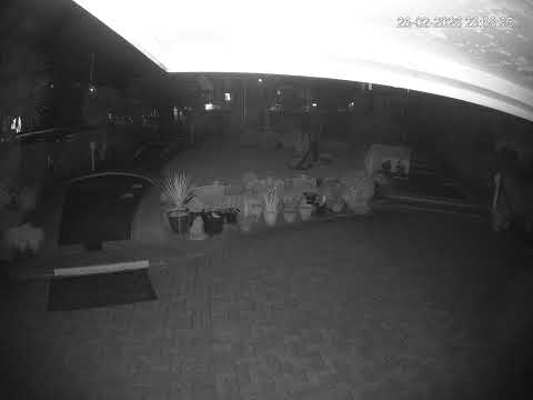 Lillyputt Mini Golf thumbnail