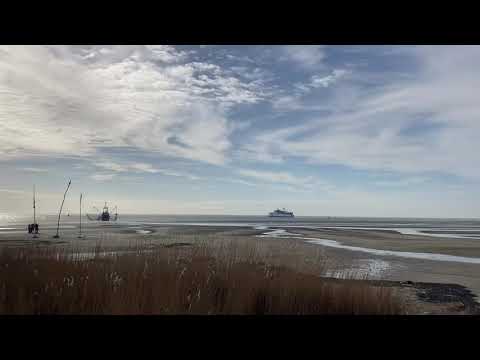 Terschelling - February 2021