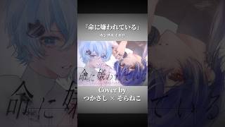 命に嫌われている(カンザキイオリ) ／つかさし×そらねこ【cover】 #命に嫌われている #つかさし #そらねこ #カンザキイオリ #歌ってみた