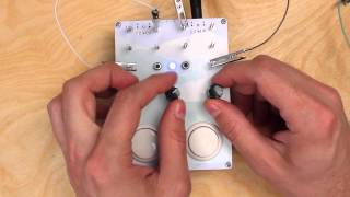 Video thumbnail for The Delaydelus - Using the Delay by Bleep Labs