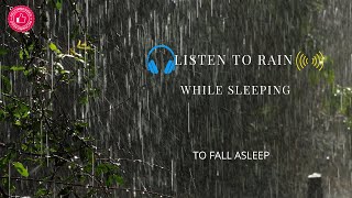 Listen to RAIN SOUND while sleeping for 2 hours