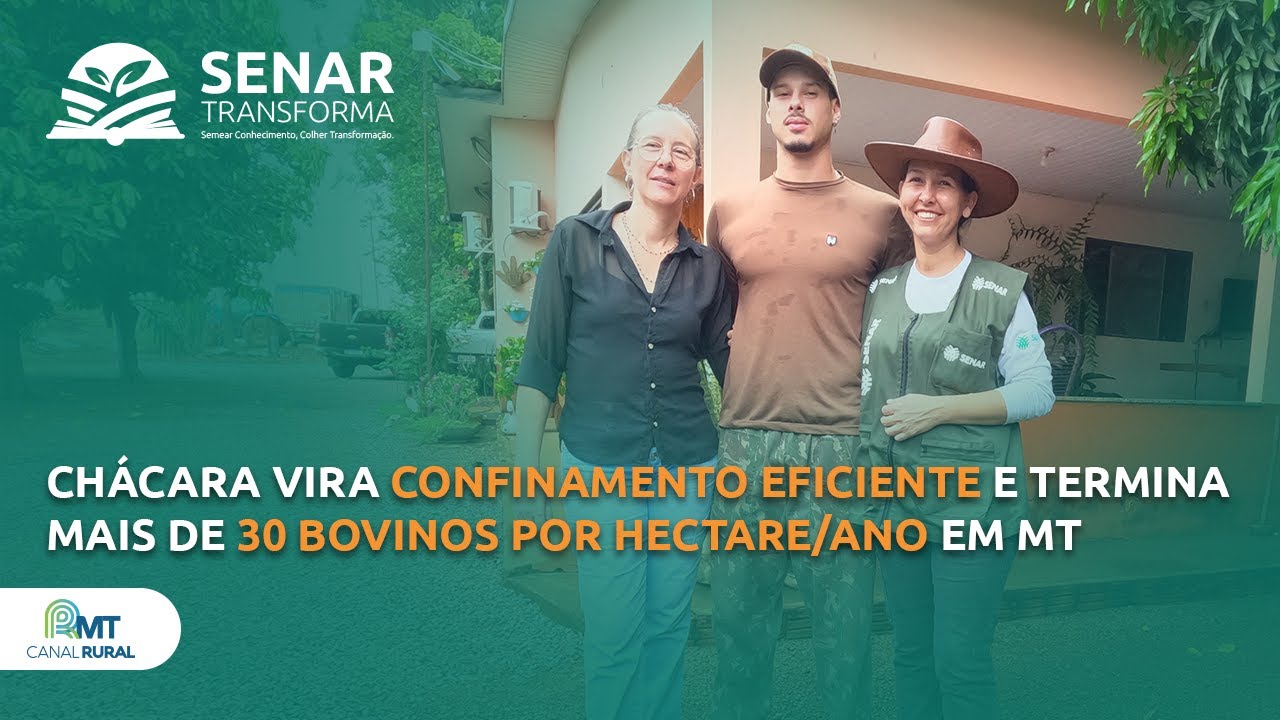 Chácara vira confinamento eficiente e termina 33 bois por hectare/ano | Senar Transforma ep.35