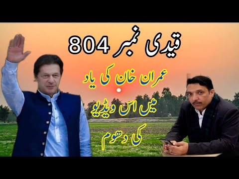 Pothwari saif ul malooq Qaidi No 804 Imran khan | Ch Ethsm Gujjar Qaidi No 804 #qaidino804