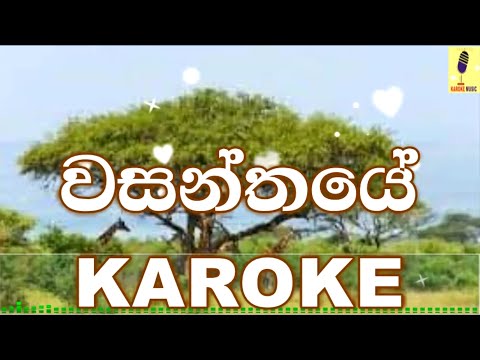 Wasanthaye - Bathiya and Santhush Karoke Without Voice