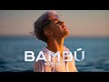 Bambu