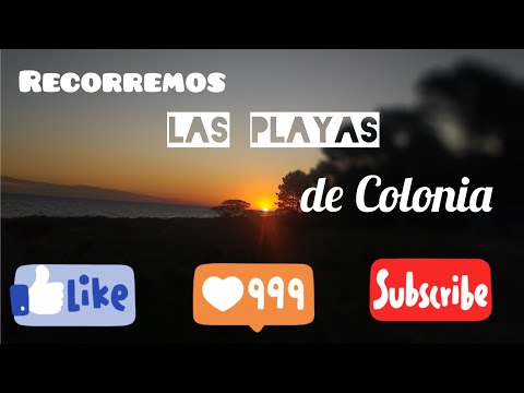 PLAYAS DE COLONIA - MINIBUS -  PINTANDO UN SUEÑO FAMILIA VIAJERA (T1/Ep6)