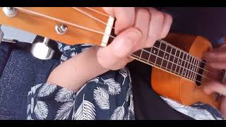 THE MAGPIE - donovan - uke cover