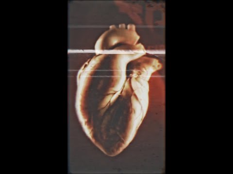 Thybreath - A Drill in Your Brain (Official video)