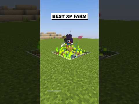 XP Farm 1.21.6