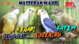 Download lagu KOMBINASI MASTERAN JUARA | CUCAK JENGGOT - KENARI - KAPAS TEMBAK - LOVE BIRD  mp3