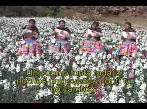 las chicas rosas y claveles - el borracho