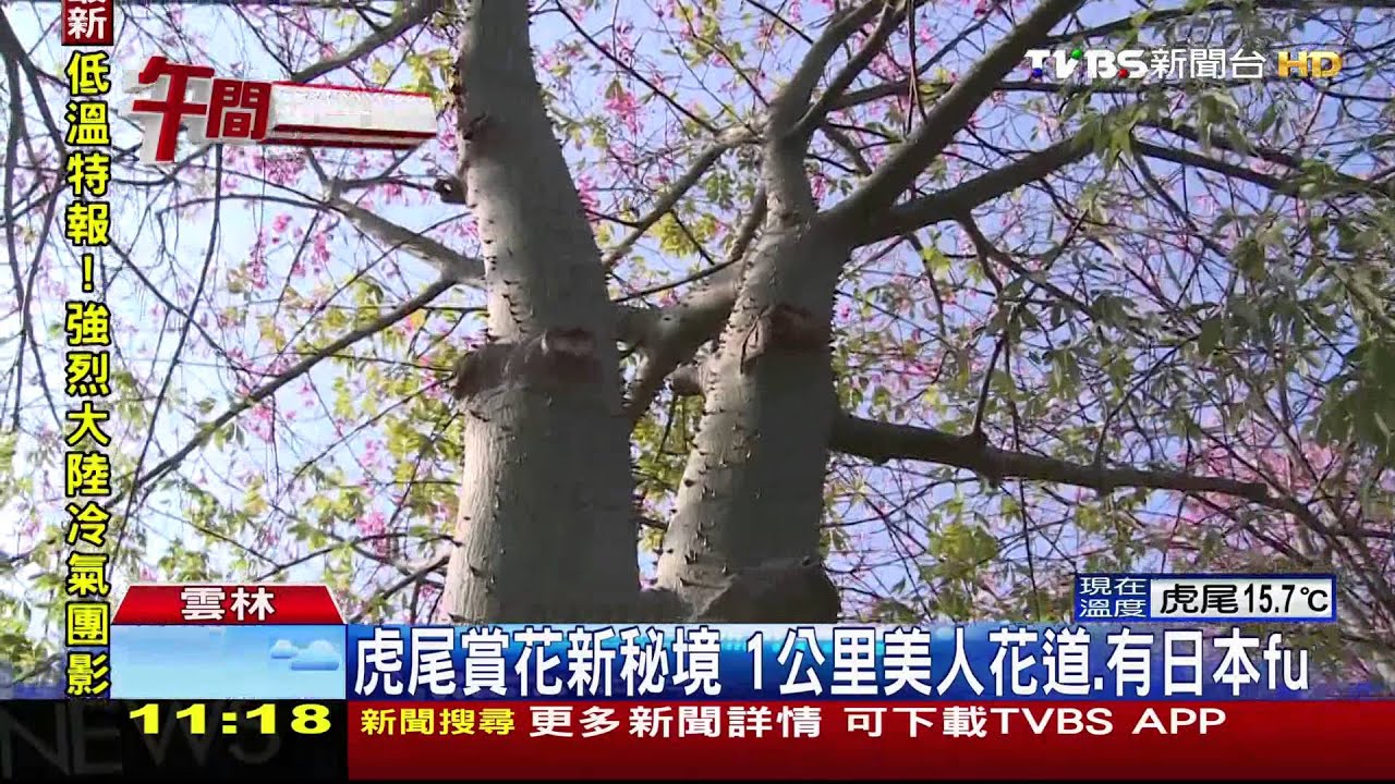 美人腳底好髒！　虎尾美人花道遊客壞祕境