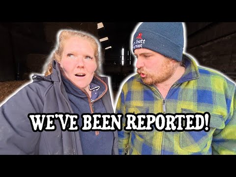 Animal welfare came to visit! 