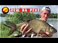 Ловля леща на реке / Рыбалка на фидер Ловля леща на реке / Рыбалка на фидер