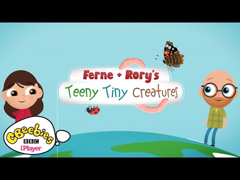 ファーネ＆ローリーのティーンタイニー・クリーチャーズのテーマソング!| シービービーズ (Ferne & Rory's Teeny Tiny Creatures Theme Song! | CBeebies)