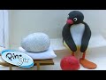 Pingu and the Mix Up! | Pingu Official | Cartoons for Kids