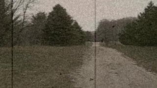 The Michigan Dogman: Evidence (2008)