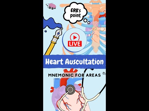 Heart Auscultation