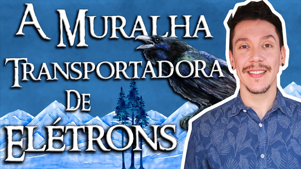 MURALHA TRANSPORTADORA DE ELÉTRONS | Cadeia Respiratória para Ensino Superior