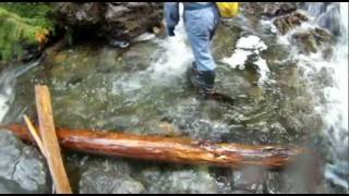 preview picture of video 'November 2011 - Caving in Tahsis BC (UVIC caving club)'